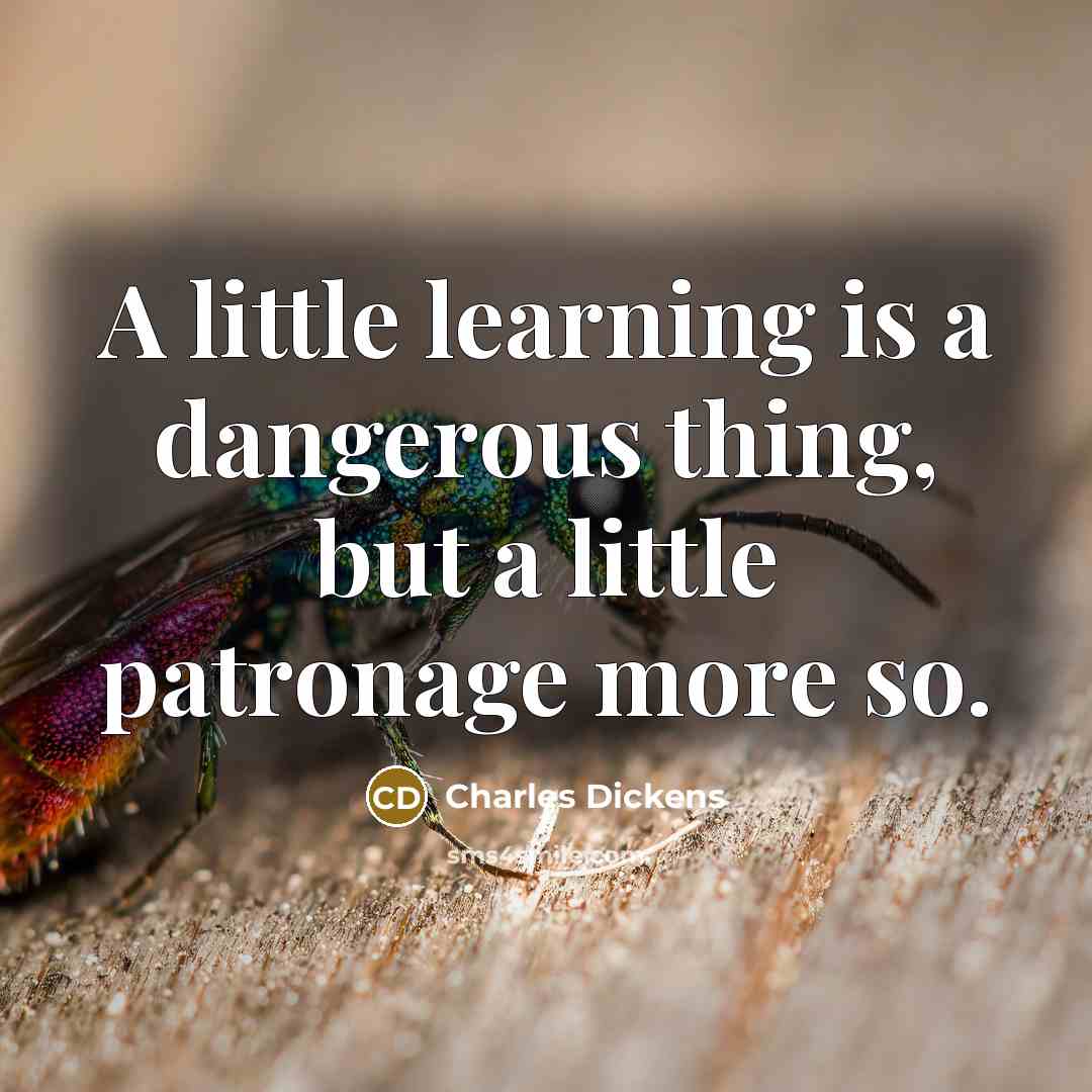 “A little learning is a dangerous thing, but a little patronage more so.” quote by Charles Dickens