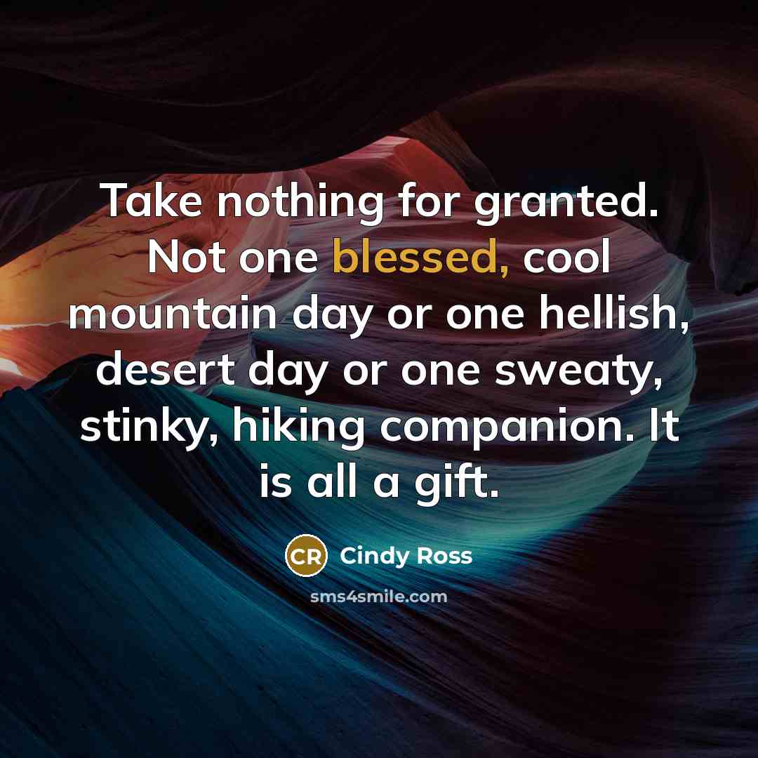 “Take nothing for granted. Not one blessed, cool mountain day or one hellish, desert day or one sweaty, stinky, hiking companion. It is all a gift.” quote by Cindy Ross