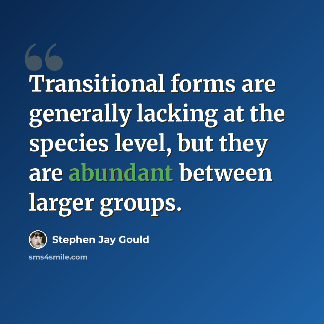 “Transitional forms are generally lacking at the species level, but they are abundant between larger groups.” quote by Stephen Jay Gould