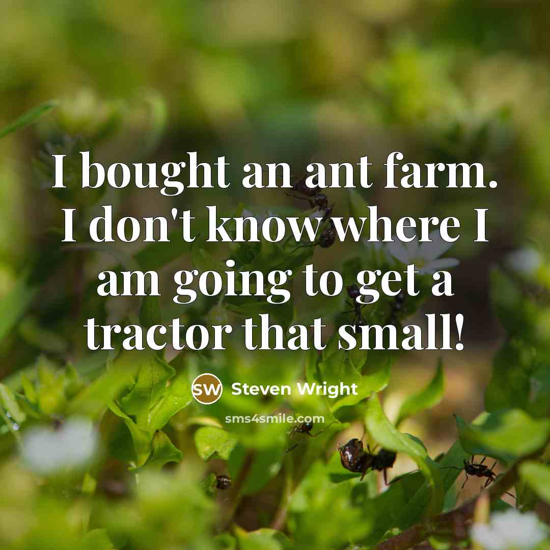 “I bought an ant farm. I don't know where I am going to get a tractor that small!” quote by Steven Wright