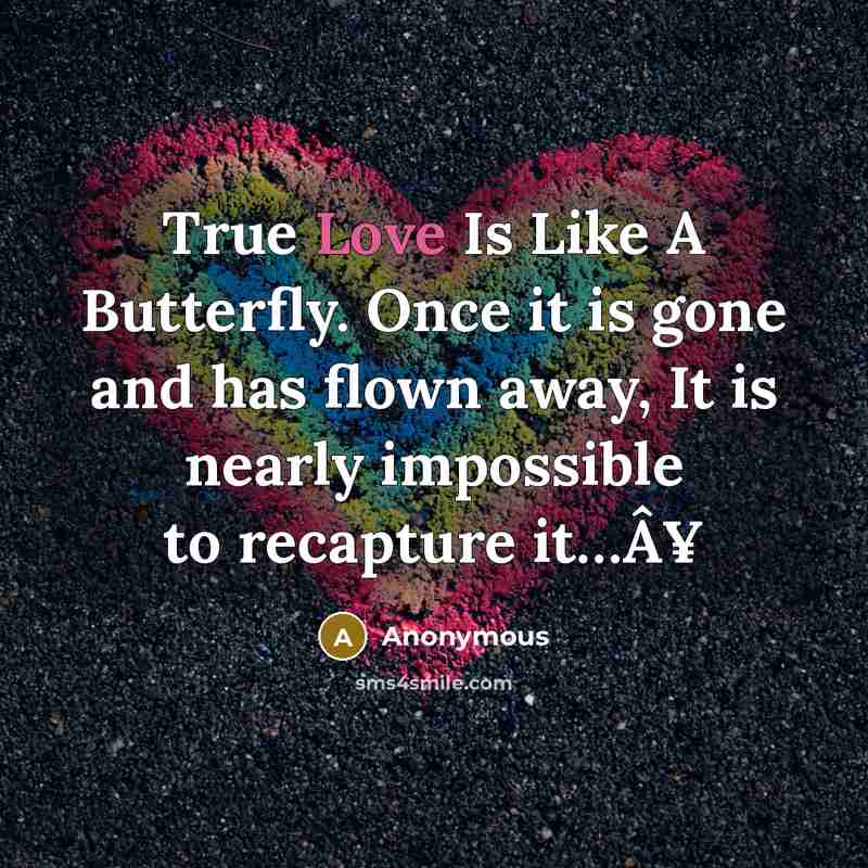 “True Love Is Like A Butterfly. Once it is gone and has flown away, It is nearly impossible to recapture it…Â¥” quote by Anonymous