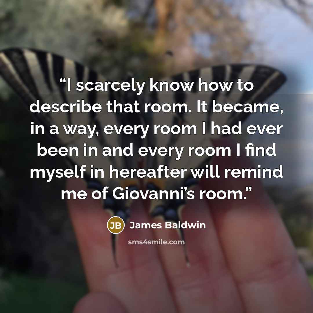 “I scarcely know how to describe that room. It became, in a way, every room I had ever been in and every room I find myself in hereafter will remind me of Giovanni’s room.” quote by James Baldwin