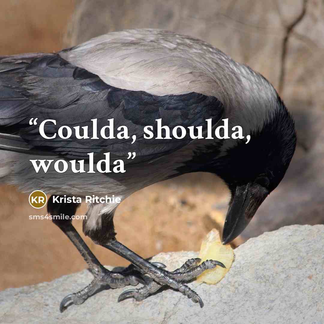 “Coulda, shoulda, woulda” quote by Krista Ritchie