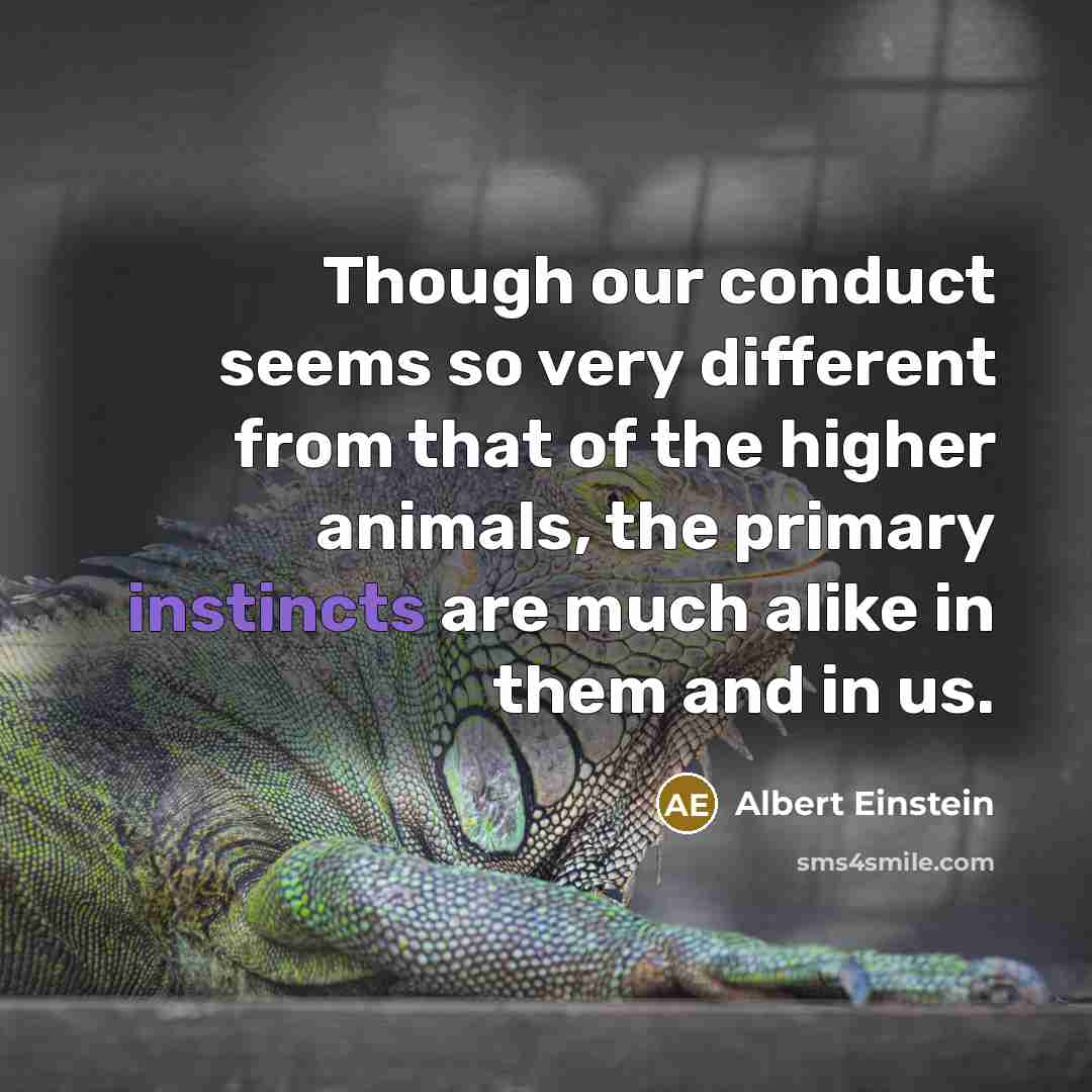 “Though our conduct seems so very different from that of the higher animals, the primary instincts are much alike in them and in us.” quote by Albert Einstein