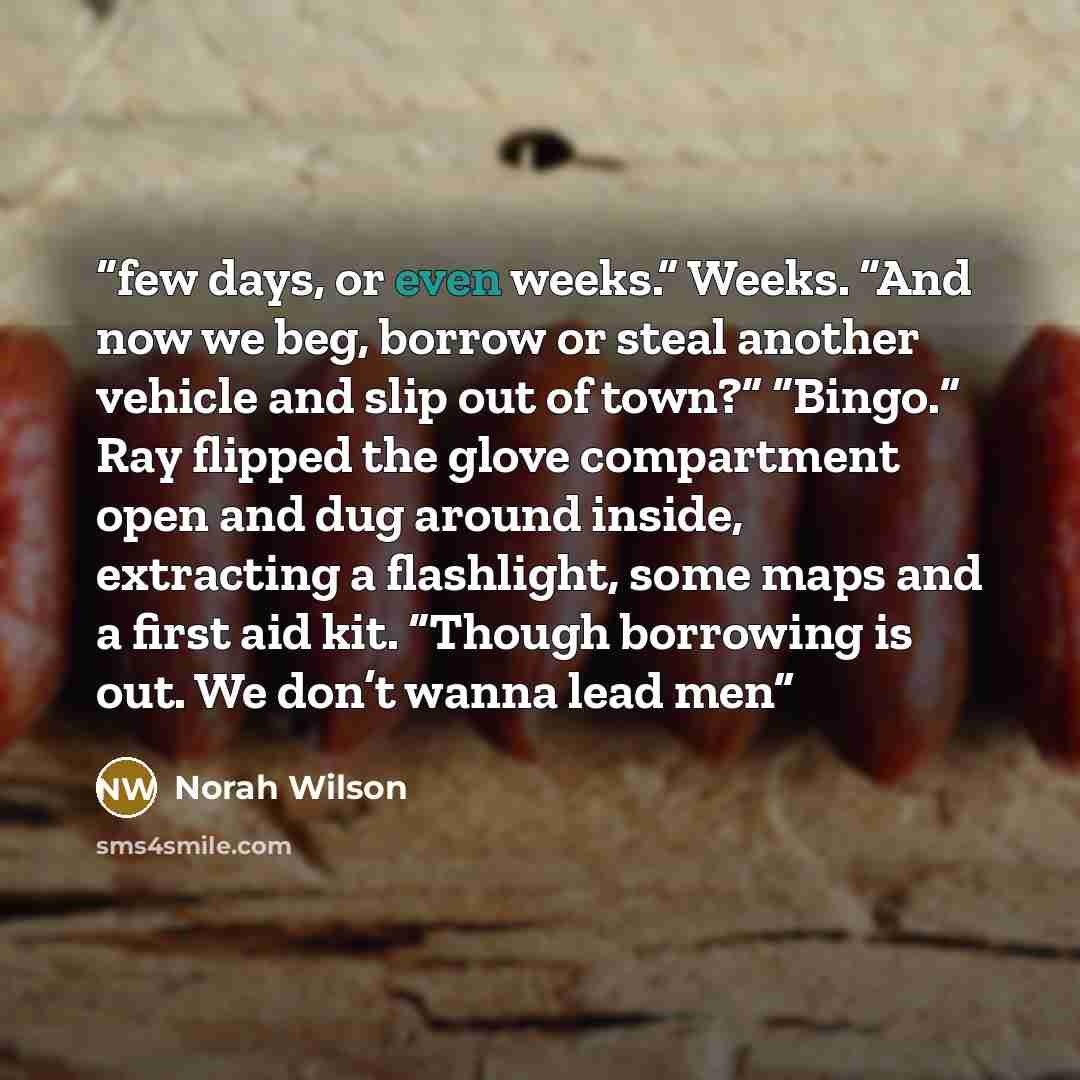 “few days, or even weeks.” Weeks. “And now we beg, borrow or steal another vehicle and slip out of town?” “Bingo.” Ray flipped the glove compartment open and dug around inside, extracting a flashlight, some maps and a first aid kit. “Though borrowing is out. We don’t wanna lead men” quote by Norah Wilson