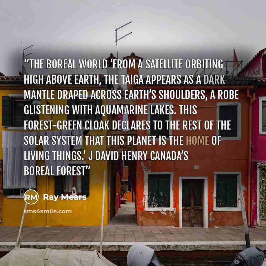 “The Boreal World ‘From a satellite orbiting high above Earth, the taiga appears as a dark mantle draped across Earth’s shoulders, a robe glistening with aquamarine lakes. This forest-green cloak declares to the rest of the solar system that this planet is the home of living things.’ J DAVID HENRY…” quote by Ray Mears