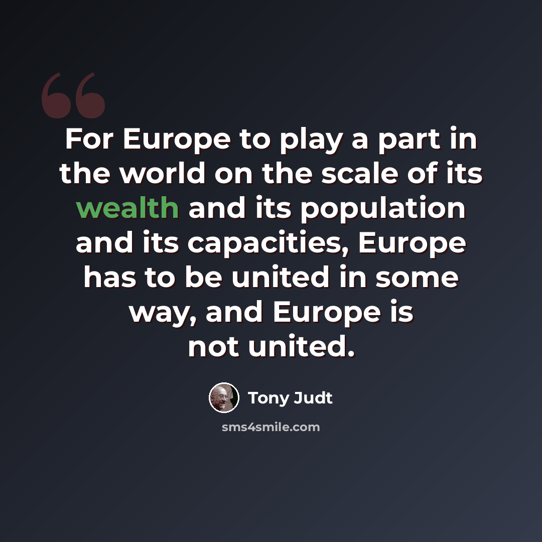 “For Europe to play a part in the world on the scale of its wealth and its population and its capacities, Europe has to be united in some way, and Europe is not united.” quote by Tony Judt