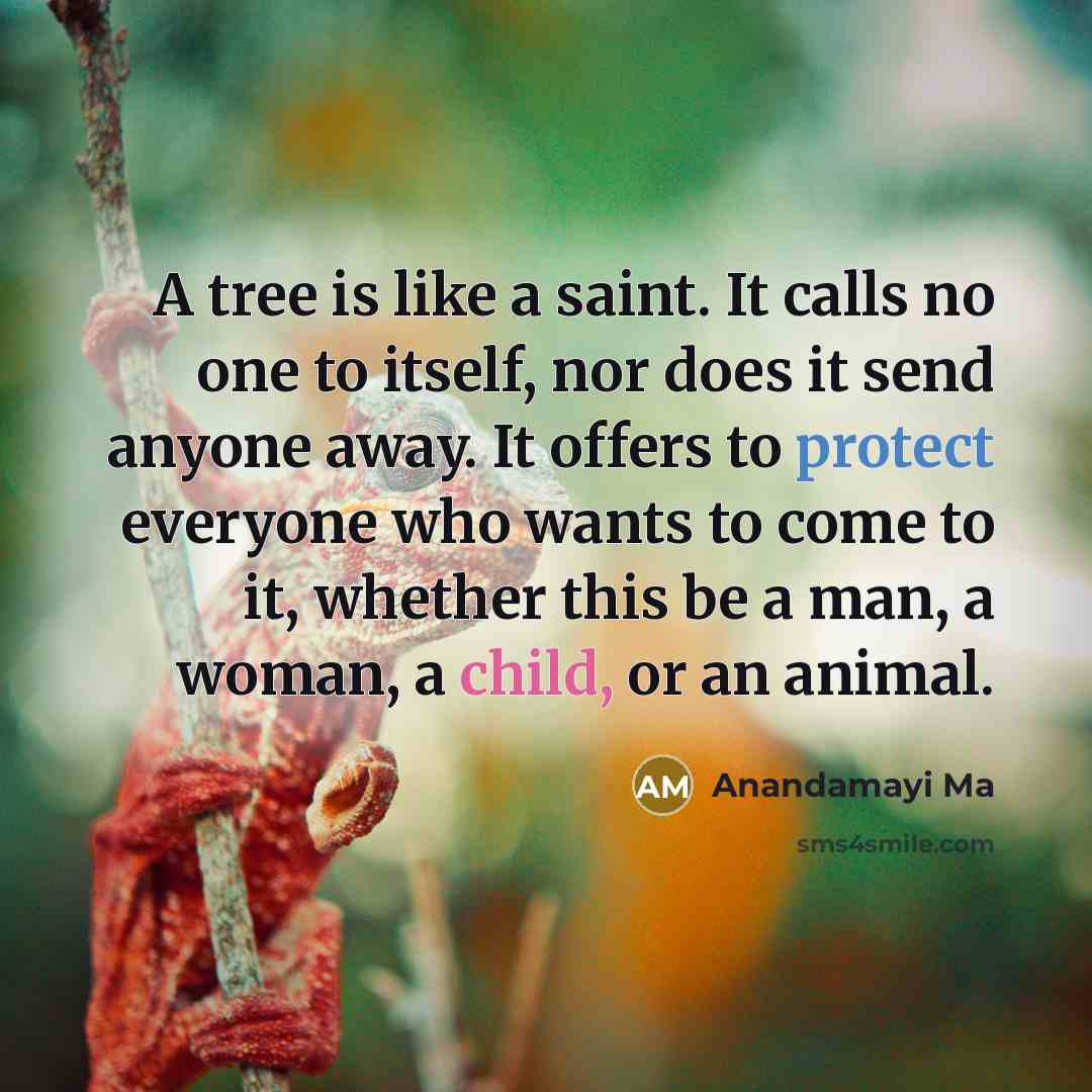 “A tree is like a saint. It calls no one to itself, nor does it send anyone away. It offers to protect everyone who wants to come to it, whether this be a man, a woman, a child, or an animal.” quote by Anandamayi Ma