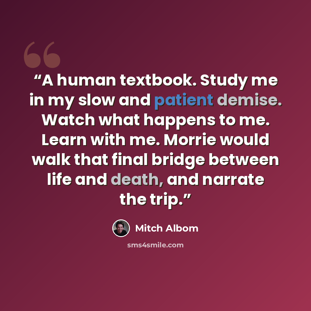 “A human textbook. Study me in my slow and patient demise. Watch what happens to me. Learn with me. Morrie would walk that final bridge between life and death, and narrate the trip.” quote by Mitch Albom