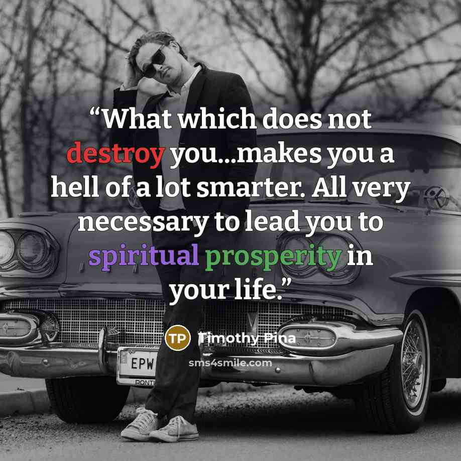 “What which does not destroy you...makes you a hell of a lot smarter. All very necessary to lead you to spiritual prosperity in your life.” quote by Timothy Pina