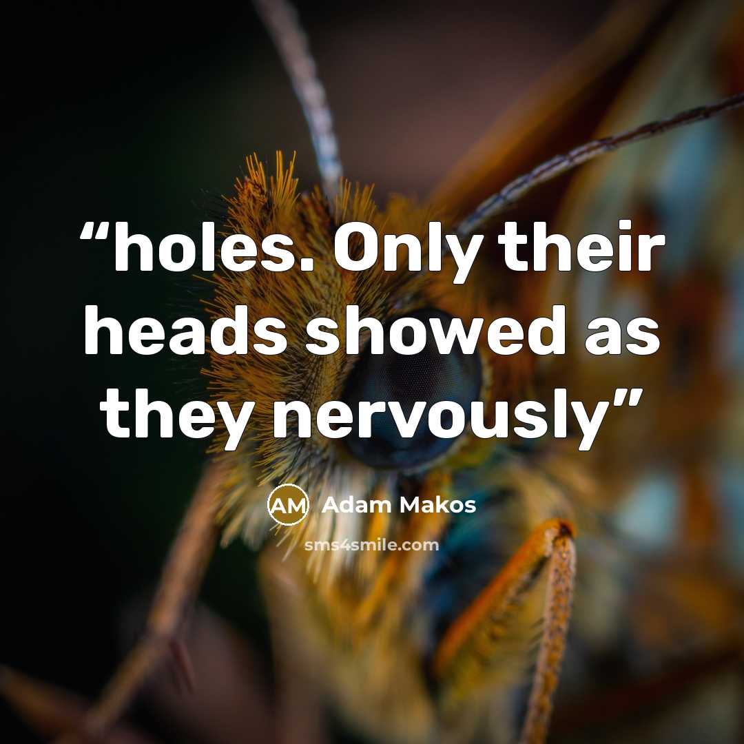 “holes. Only their heads showed as they nervously” quote by Adam Makos