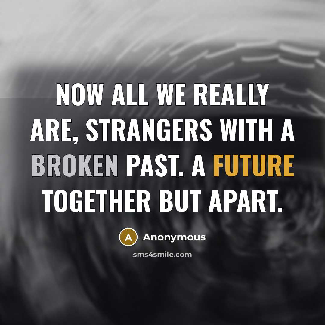 “Now all we really are, strangers with a broken past. A future together but apart.” quote by Anonymous