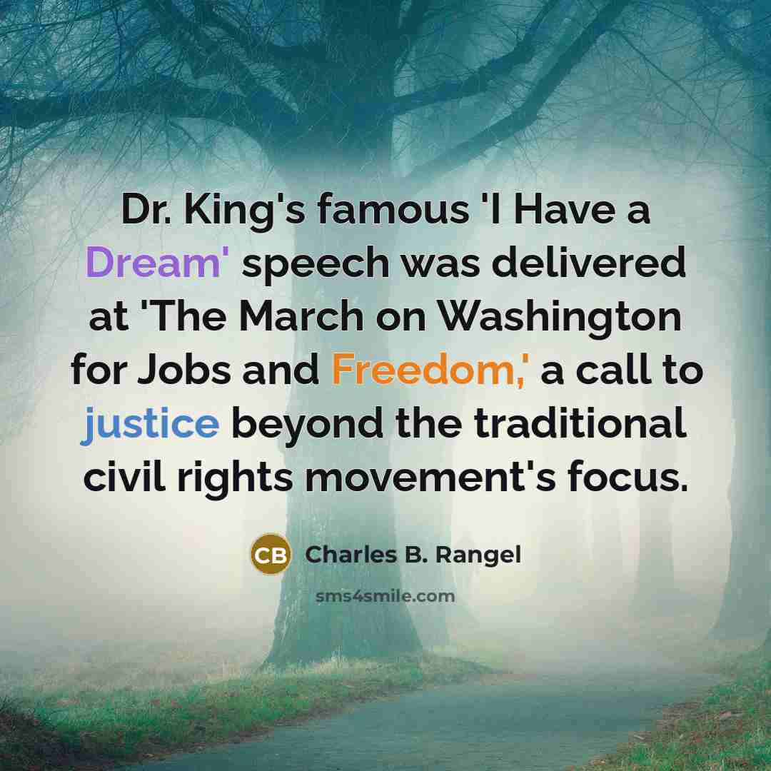 “Dr. King's famous 'I Have a Dream' speech was delivered at 'The March on Washington for Jobs and Freedom,' a call to justice beyond the traditional civil rights movement's focus.” quote by Charles B. Rangel
