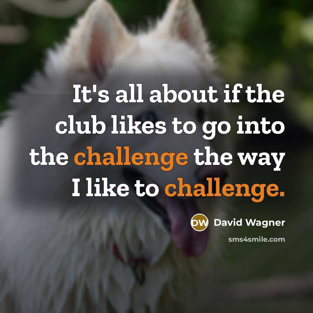 “It's all about if the club likes to go into the challenge the way I like to challenge.” quote by David Wagner