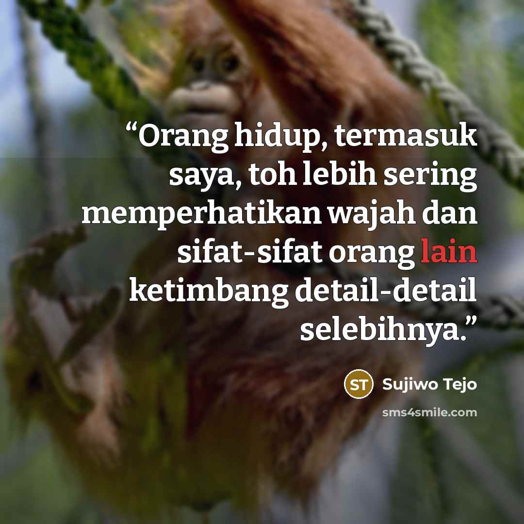 “Orang hidup, termasuk saya, toh lebih sering memperhatikan wajah dan sifat-sifat orang lain ketimbang detail-detail selebihnya.” quote by Sujiwo Tejo