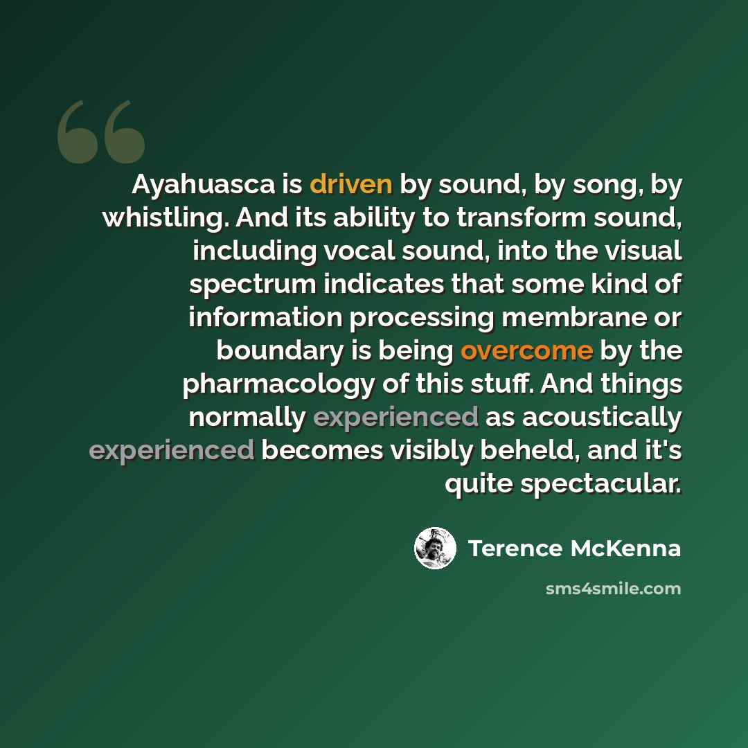 “Ayahuasca is driven by sound, by song, by whistling. And its ability to transform sound, including vocal sound, into the visual spectrum indicates that some kind of information processing membrane or boundary is being overcome by the pharmacology of this stuff. And things normally experienced as…” quote by Terence McKenna