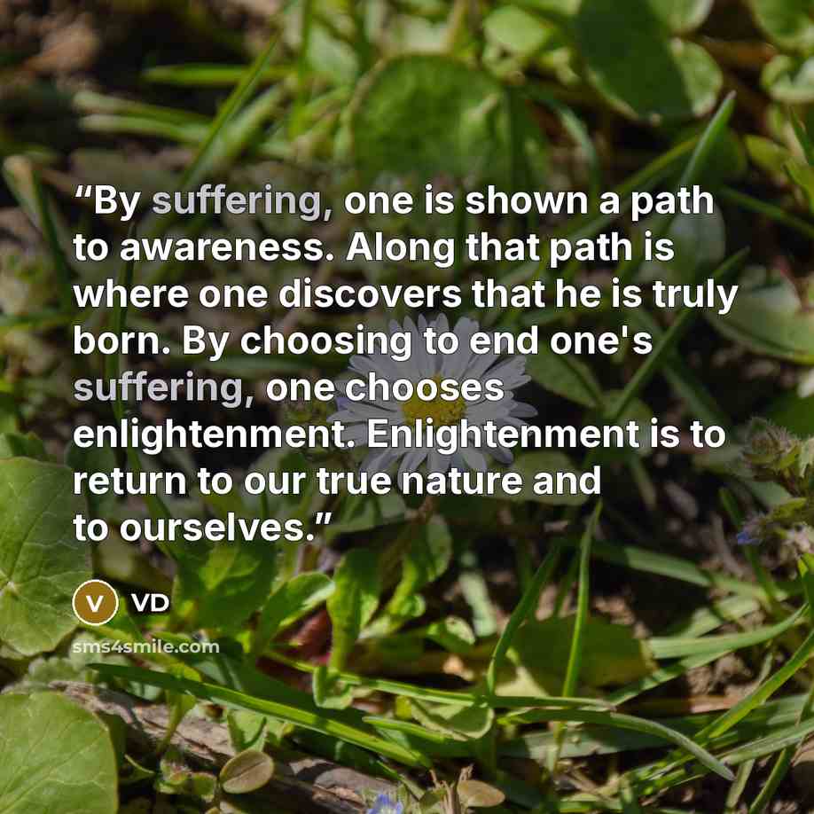 “By suffering, one is shown a path to awareness. Along that path is where one discovers that he is truly born. By choosing to end one's suffering, one chooses enlightenment. Enlightenment is to return to our true nature and to ourselves.” quote by VD