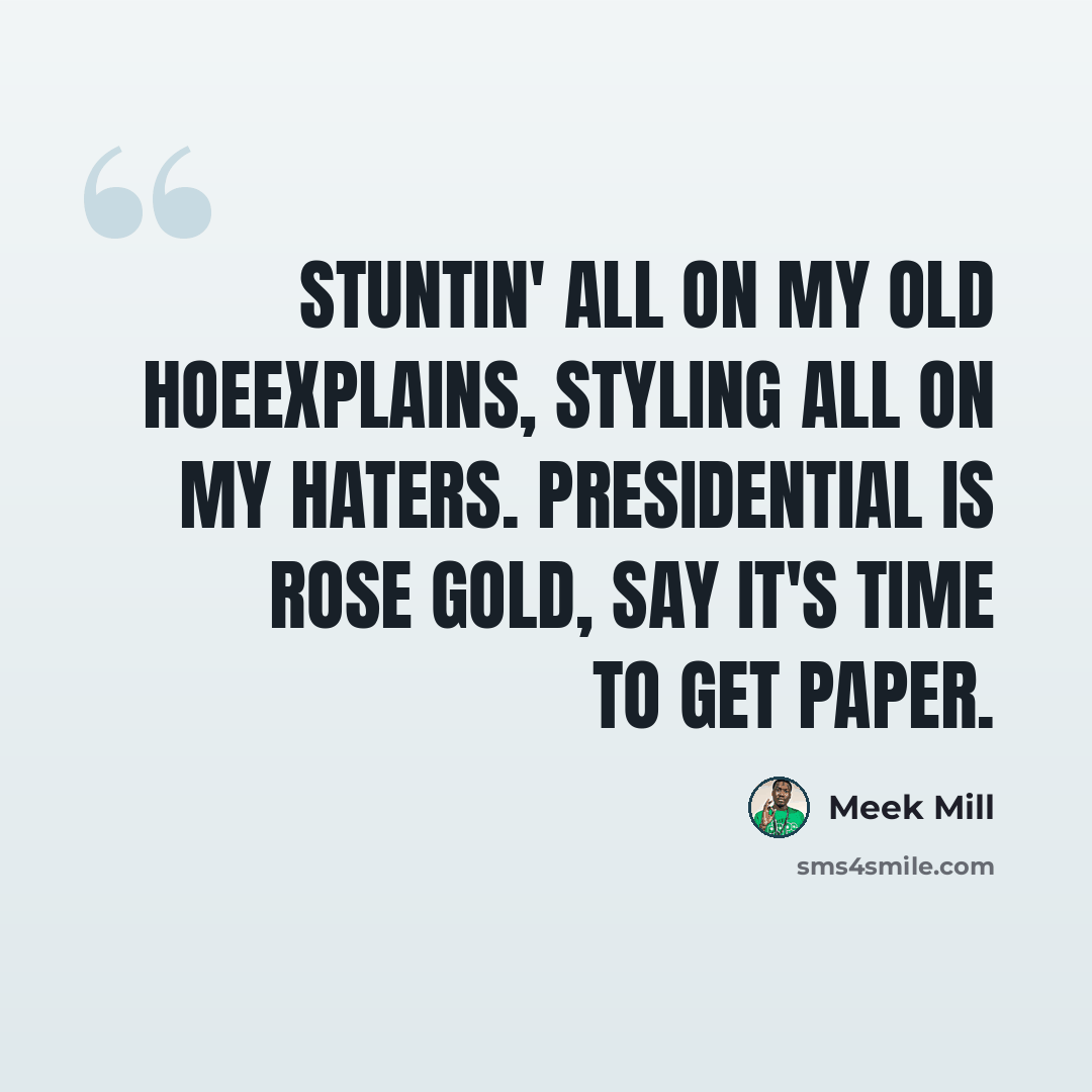 “Stuntin' all on my old hoeExplains, styling all on my haters. Presidential is rose gold, say it's time to get paper.” quote by Meek Mill