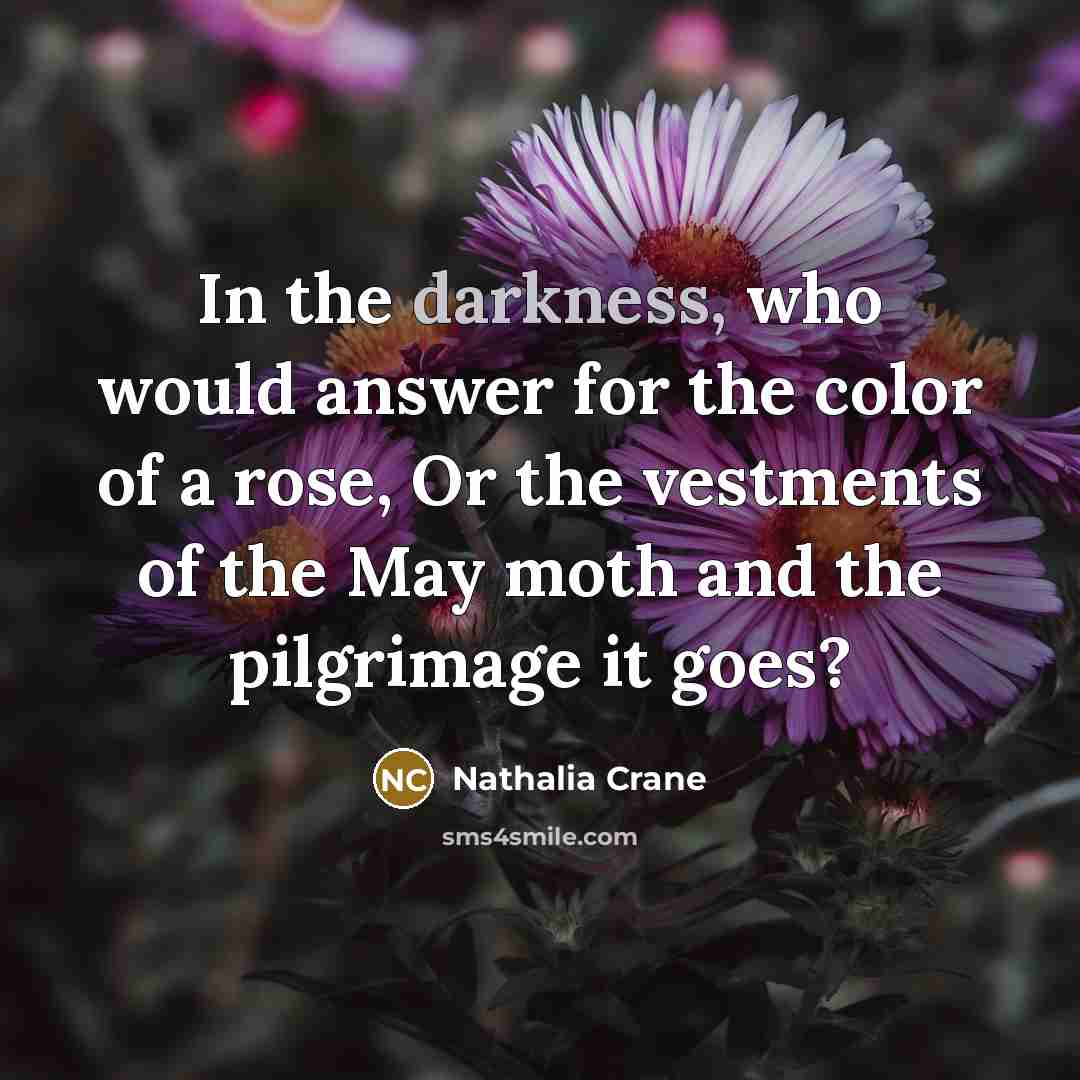 “In the darkness, who would answer for the color of a rose, Or the vestments of the May moth and the pilgrimage it goes?” quote by Nathalia Crane