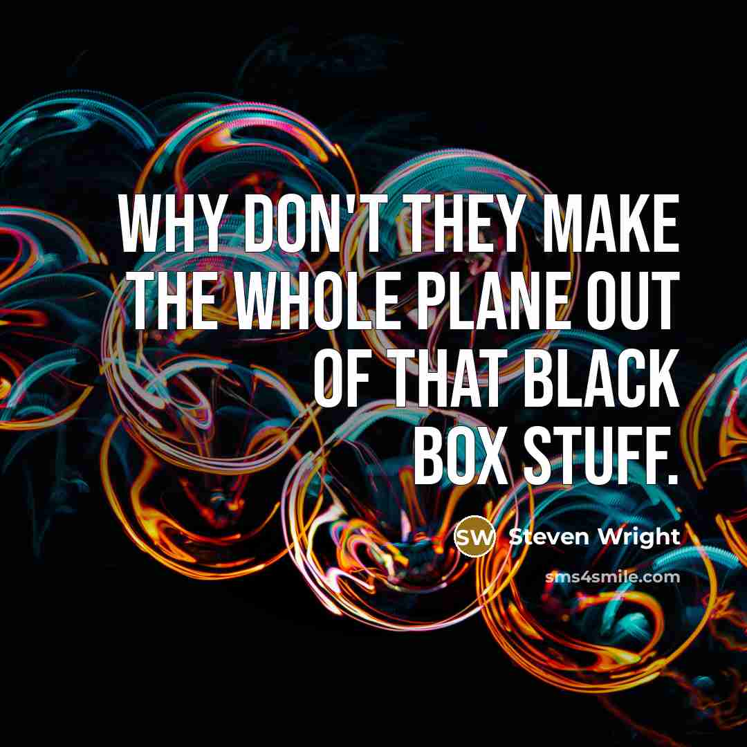 “Why don't they make the whole plane out of that black box stuff.” quote by Steven Wright