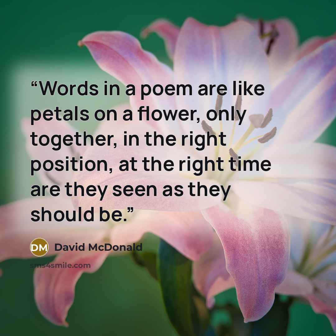 “Words in a poem are like petals on a flower, only together, in the right position, at the right time are they seen as they should be.” quote by David McDonald
