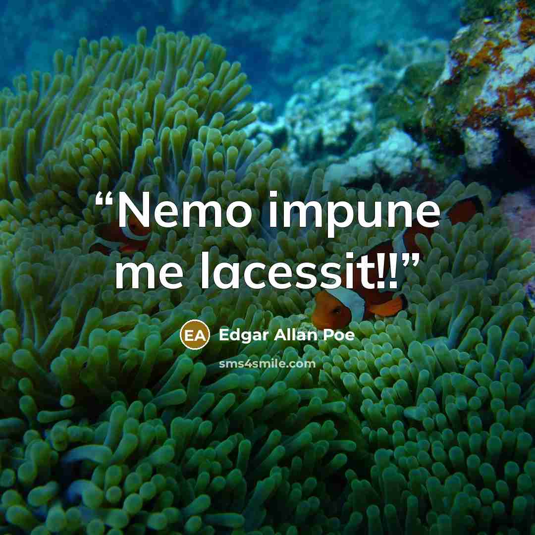 “Nemo impune me lacessit!!” quote by Edgar Allan Poe