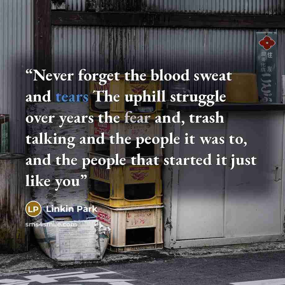 “Never forget the blood sweat and tears The uphill struggle over years the fear and, trash talking and the people it was to, and the people that started it just like you” quote by Linkin Park