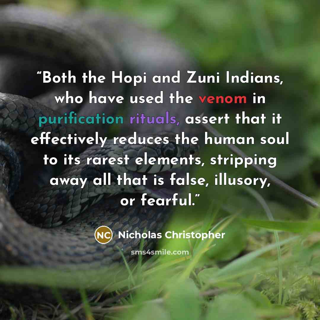 “Both the Hopi and Zuni Indians, who have used the venom in purification rituals, assert that it effectively reduces the human soul to its rarest elements, stripping away all that is false, illusory, or fearful.” quote by Nicholas Christopher