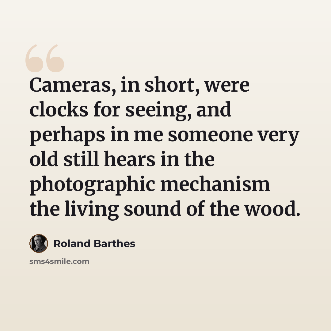 “Cameras, in short, were clocks for seeing, and perhaps in me someone very old still hears in the photographic mechanism the living sound of the wood.” quote by Roland Barthes