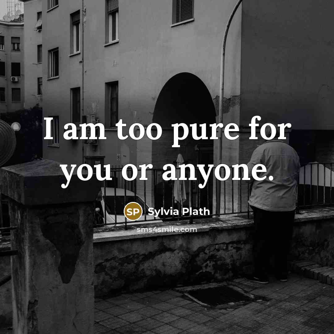 “I am too pure for you or anyone.” quote by Sylvia Plath
