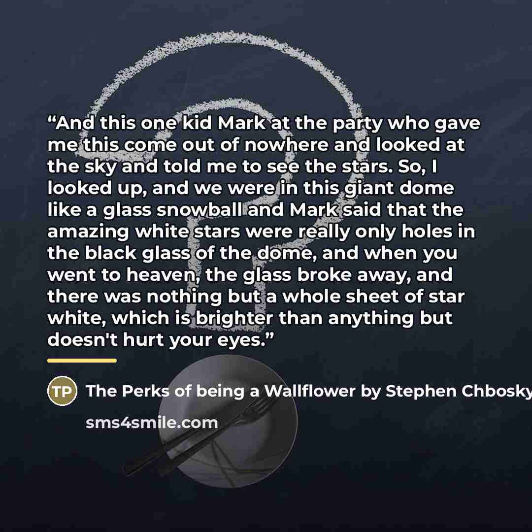 “And this one kid Mark at the party who gave me this come out of nowhere and looked at the sky and told me to see the stars. So, I looked up, and we were in this giant dome like a glass snowball and Mark said that the amazing white stars were really only holes in the black glass of the dome, and…” quote by The Perks of being a Wallflower by Stephen Chbosky