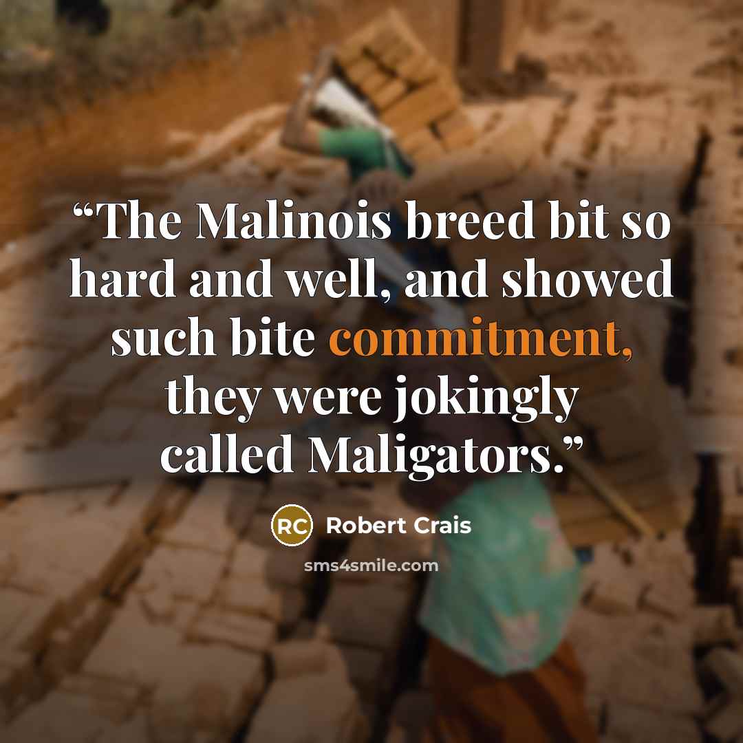 “The Malinois breed bit so hard and well, and showed such bite commitment, they were jokingly called Maligators.” quote by Robert Crais