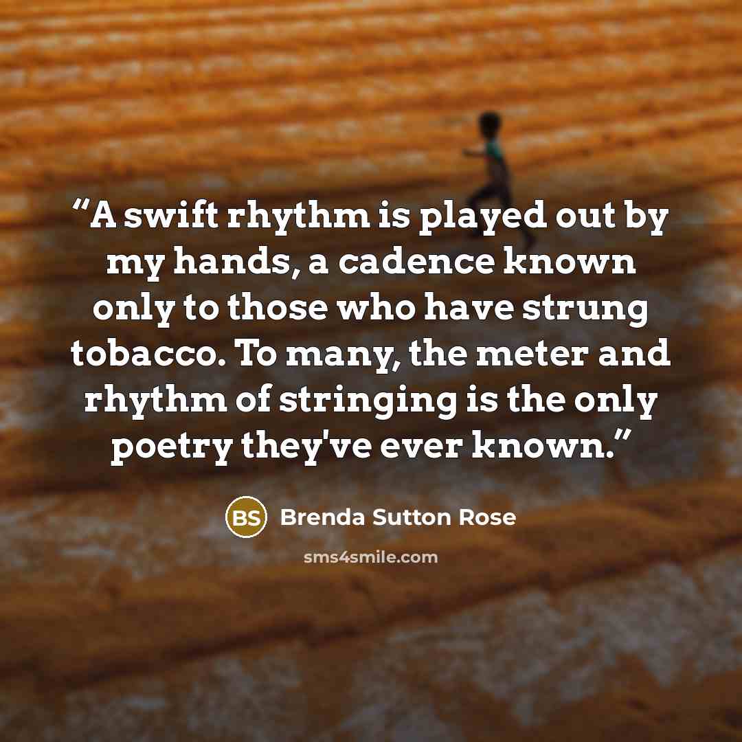 “A swift rhythm is played out by my hands, a cadence known only to those who have strung tobacco. To many, the meter and rhythm of stringing is the only poetry they've ever known.” quote by Brenda Sutton Rose