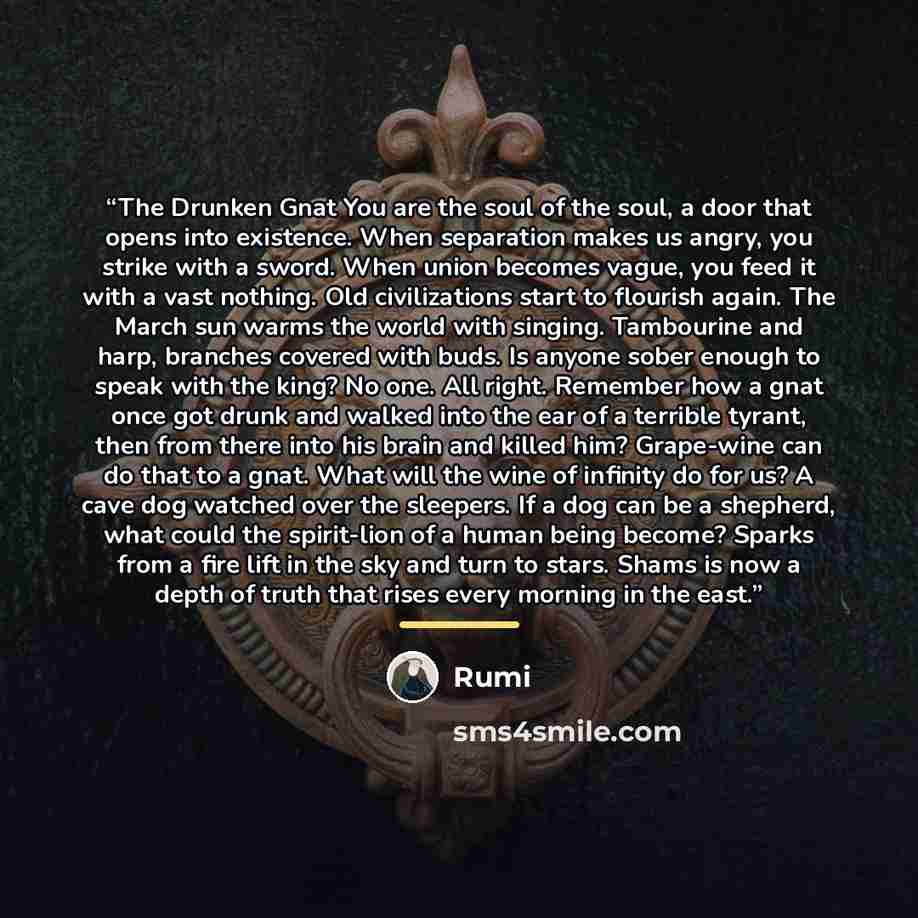 “The Drunken Gnat You are the soul of the soul, a door that opens into existence. When separation makes us angry, you strike with a sword. When union becomes vague, you feed it with a vast nothing. Old civilizations start to flourish again. The March sun warms the world with singing. Tambourine and…” quote by Rumi