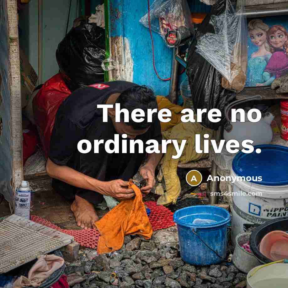 “There are no ordinary lives.” quote by Anonymous
