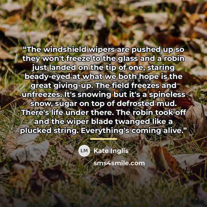 “The windshield wipers are pushed up so they won't freeze to the glass and a robin just landed on the tip of one, staring beady-eyed at what we both hope is the great giving-up. The field freezes and unfreezes. It's snowing but it's a spineless snow, sugar on top of defrosted mud. There's life…” quote by Kate Inglis