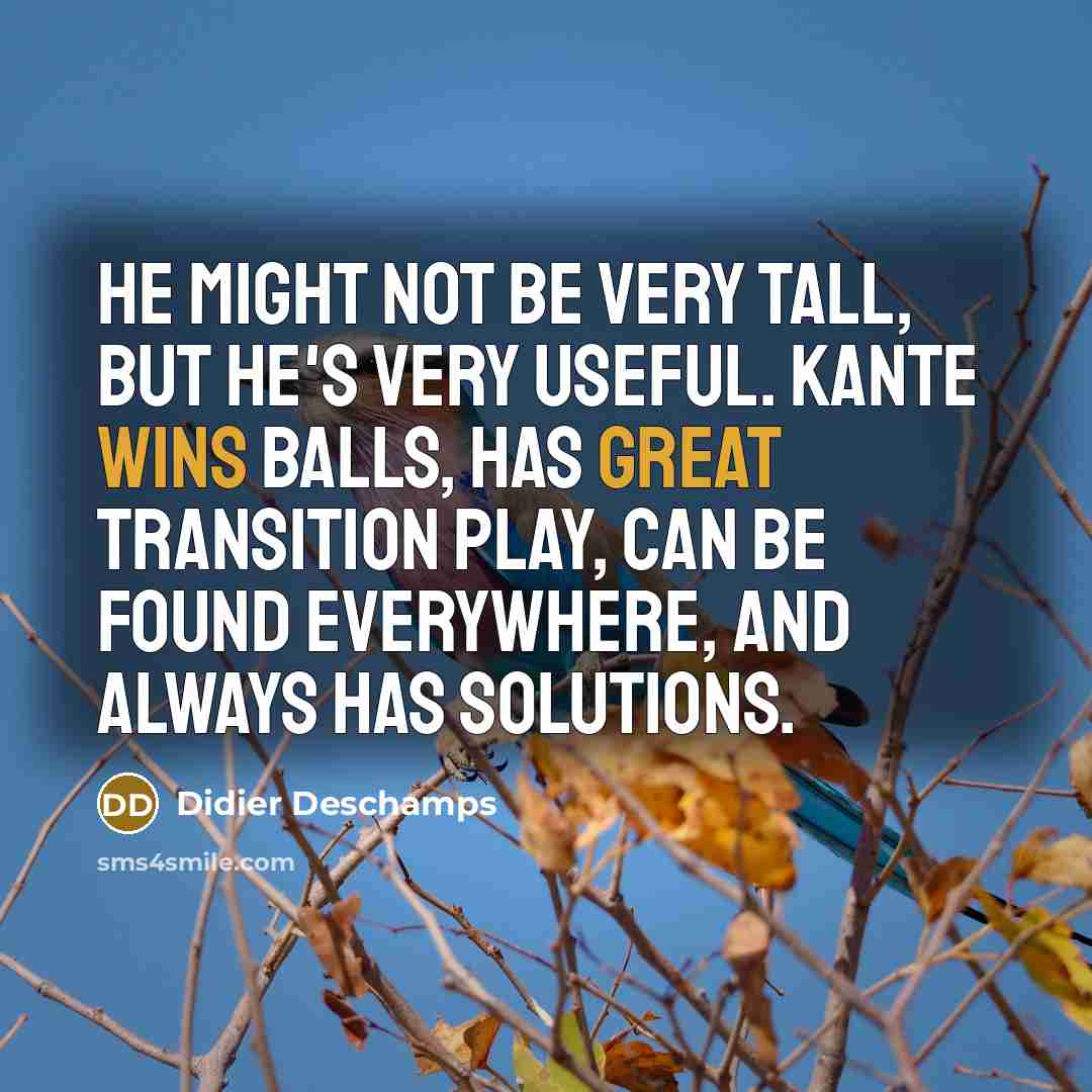 “He might not be very tall, but he's very useful. Kante wins balls, has great transition play, can be found everywhere, and always has solutions.” quote by Didier Deschamps