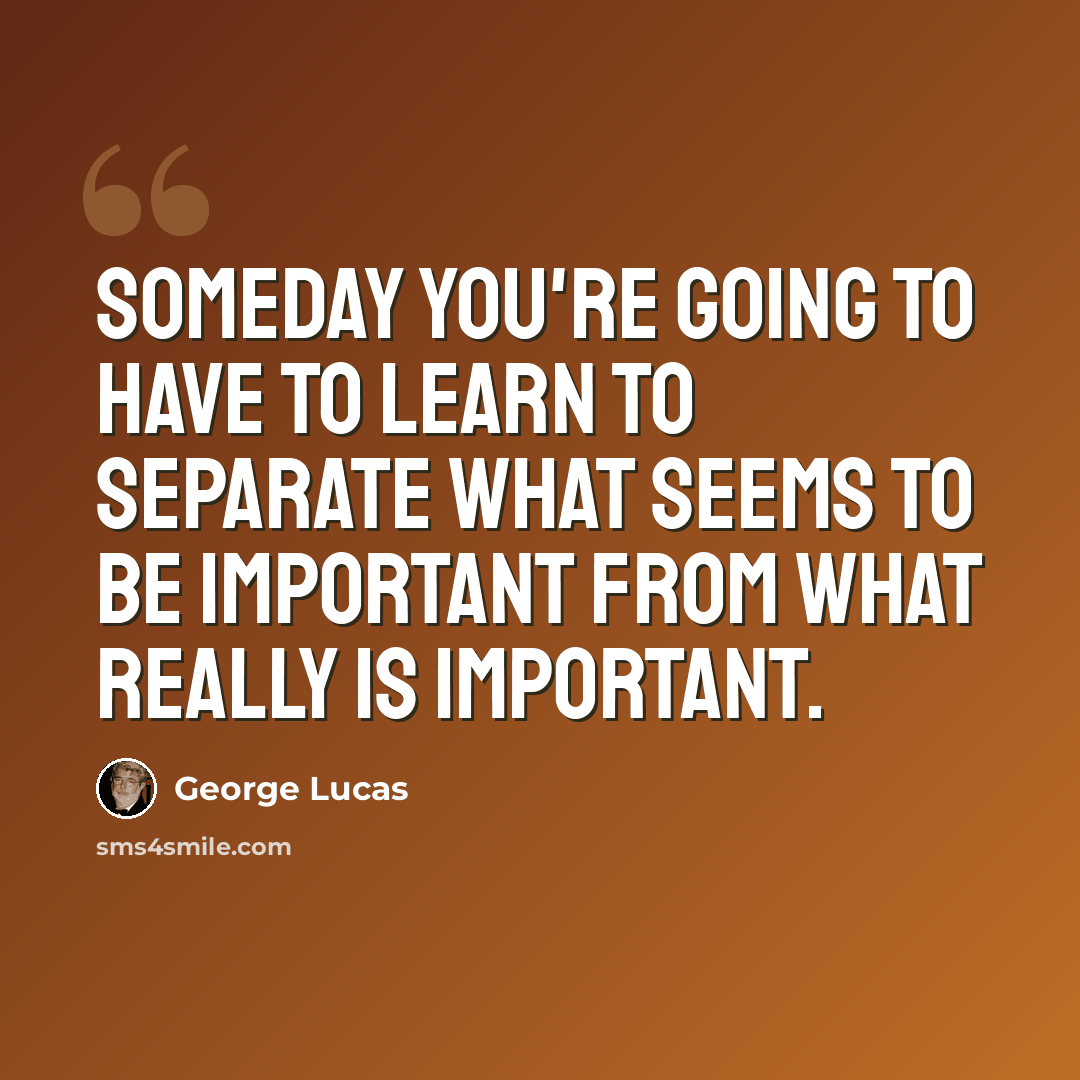 “Someday you're going to have to learn to separate what seems to be important from what really is important.” quote by George Lucas