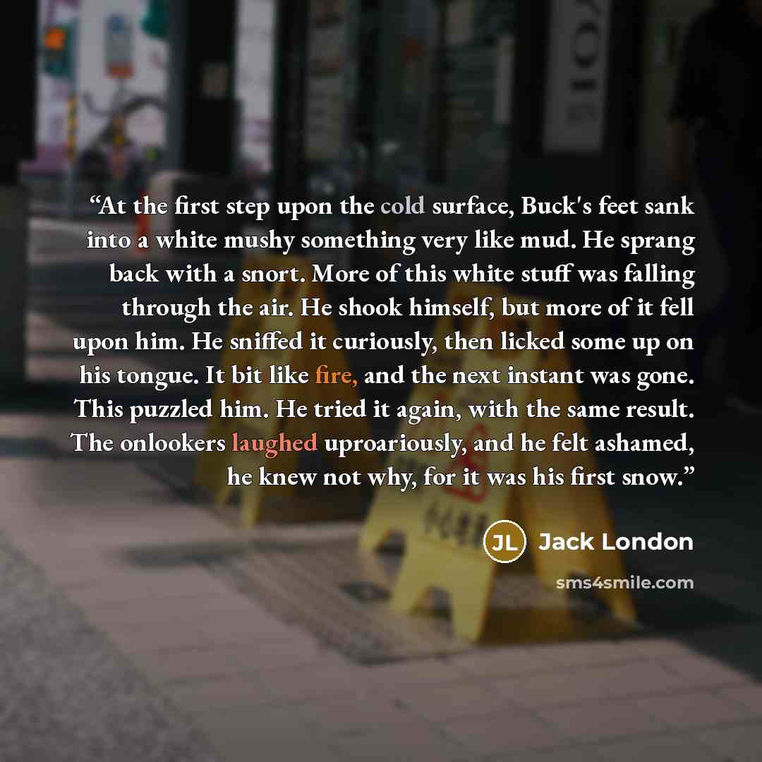 “At the first step upon the cold surface, Buck's feet sank into a white mushy something very like mud. He sprang back with a snort. More of this white stuff was falling through the air. He shook himself, but more of it fell upon him. He sniffed it curiously, then licked some up on his tongue. It…” quote by Jack London
