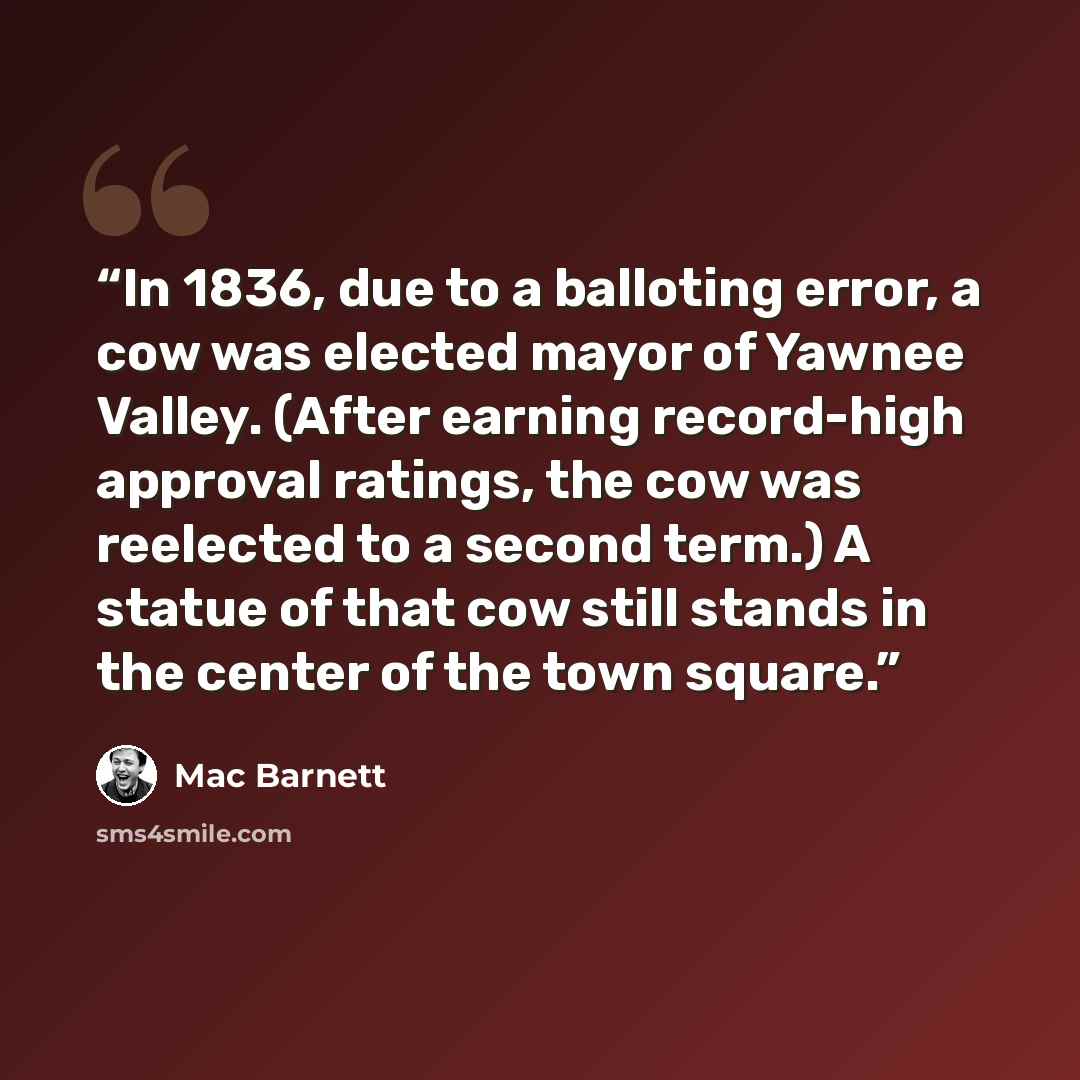 “In 1836, due to a balloting error, a cow was elected mayor of Yawnee Valley. (After earning record-high approval ratings, the cow was reelected to a second term.) A statue of that cow still stands in the center of the town square.” quote by Mac Barnett