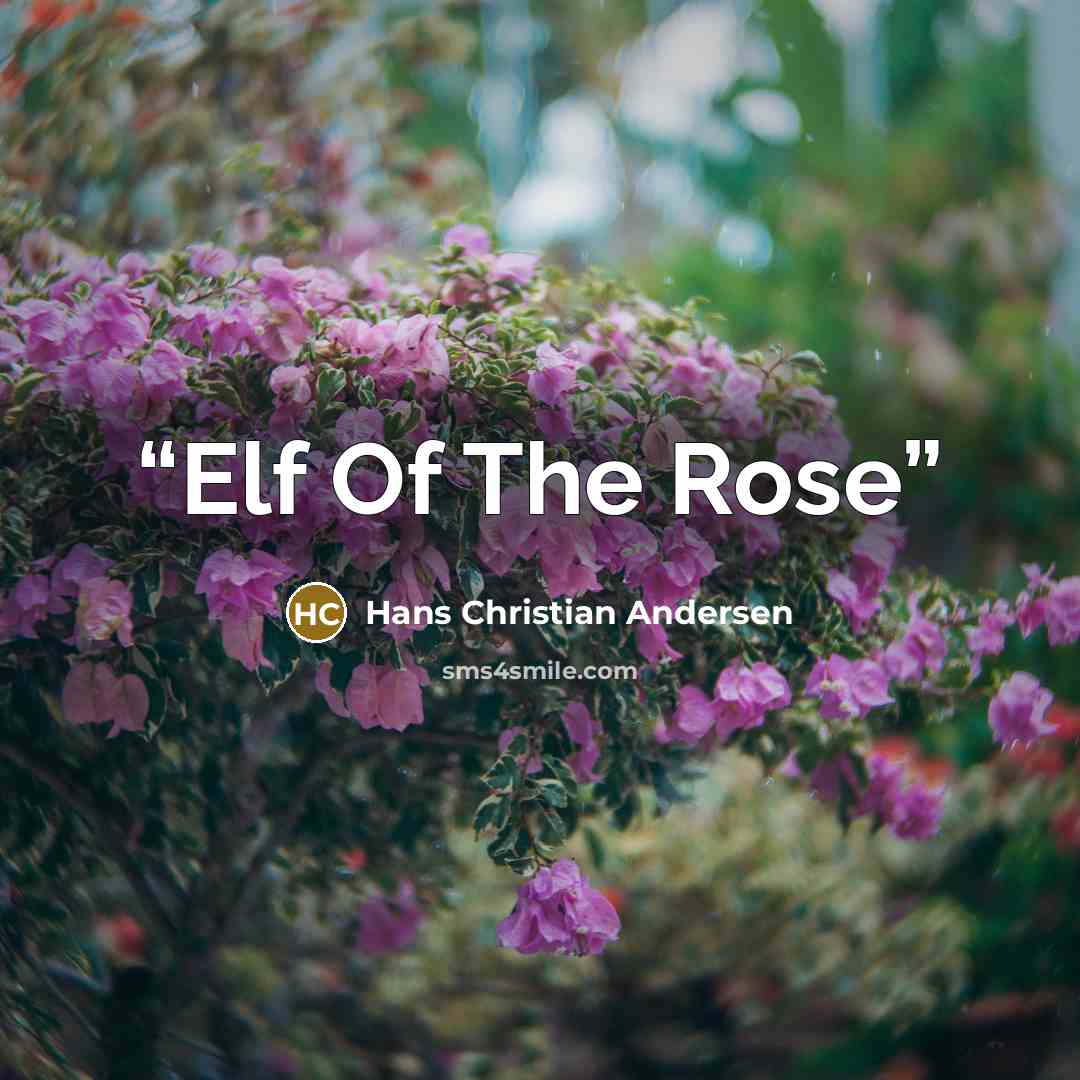 “Elf Of The Rose” quote by Hans Christian Andersen