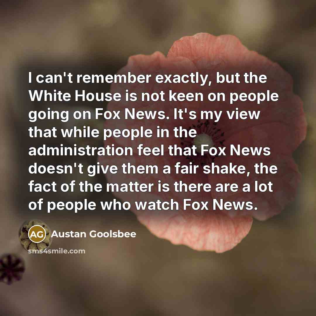 “I can't remember exactly, but the White House is not keen on people going on Fox News. It's my view that while people in the administration feel that Fox News doesn't give them a fair shake, the fact of the matter is there are a lot of people who watch Fox News.” quote by Austan Goolsbee