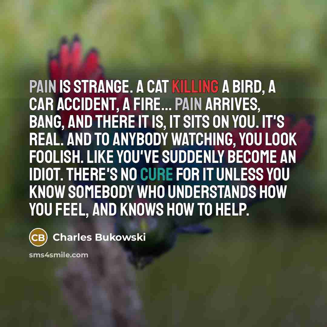 “Pain is strange. A cat killing a bird, a car accident, a fire… Pain arrives, BANG, and there it is, it sits on you. It's real. And to anybody watching, you look foolish. Like you've suddenly become an idiot. There's no cure for it unless you know somebody who understands how you feel, and knows…” quote by Charles Bukowski