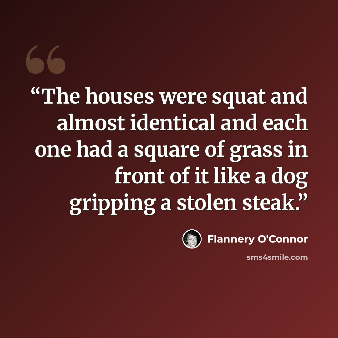 “The houses were squat and almost identical and each one had a square of grass in front of it like a dog gripping a stolen steak.” quote by Flannery O'Connor