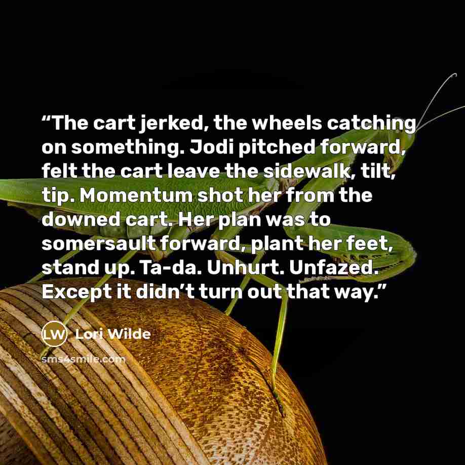 “The cart jerked, the wheels catching on something. Jodi pitched forward, felt the cart leave the sidewalk, tilt, tip. Momentum shot her from the downed cart. Her plan was to somersault forward, plant her feet, stand up. Ta-da. Unhurt. Unfazed. Except it didn’t turn out that way.” quote by Lori Wilde