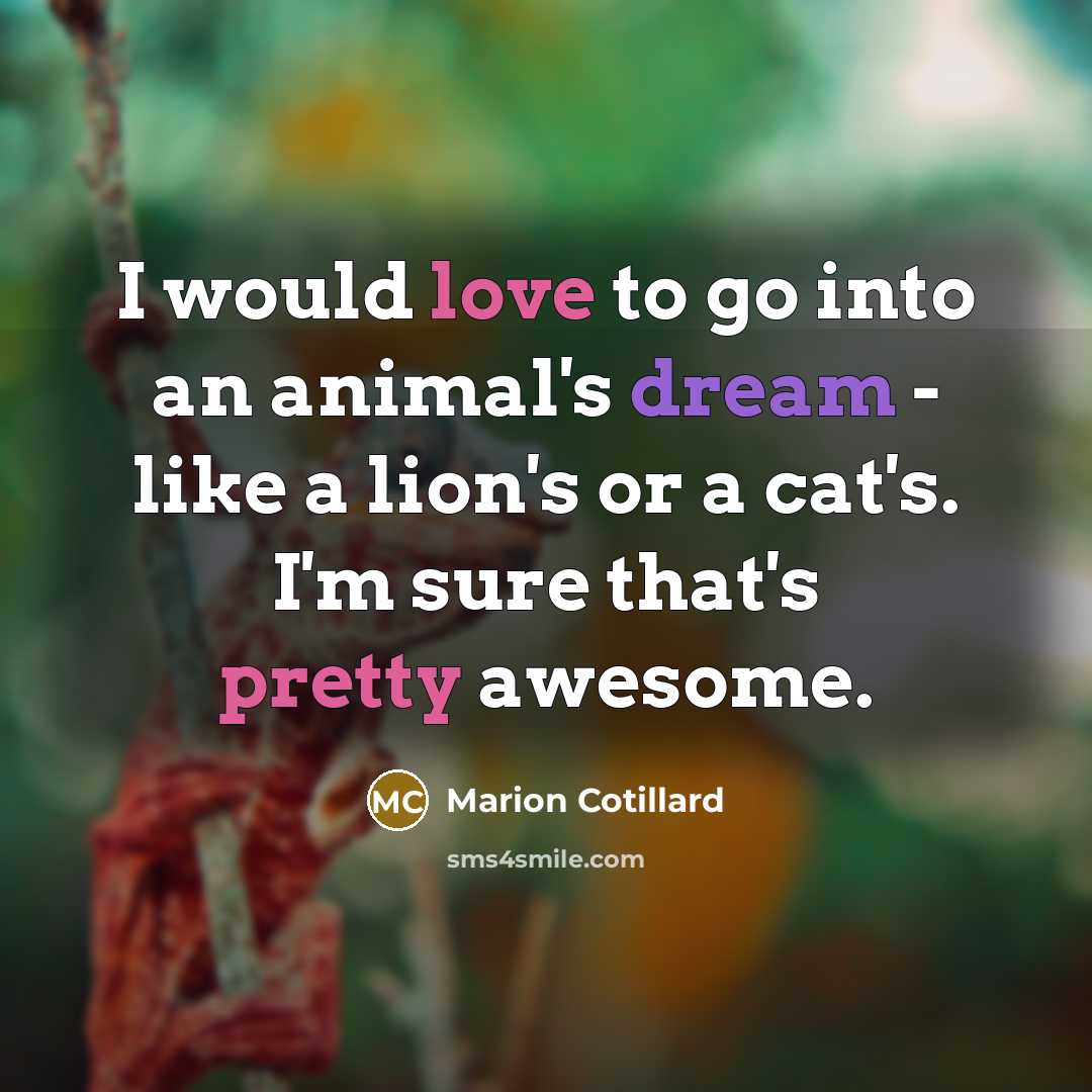 “I would love to go into an animal's dream - like a lion's or a cat's. I'm sure that's pretty awesome.” quote by Marion Cotillard