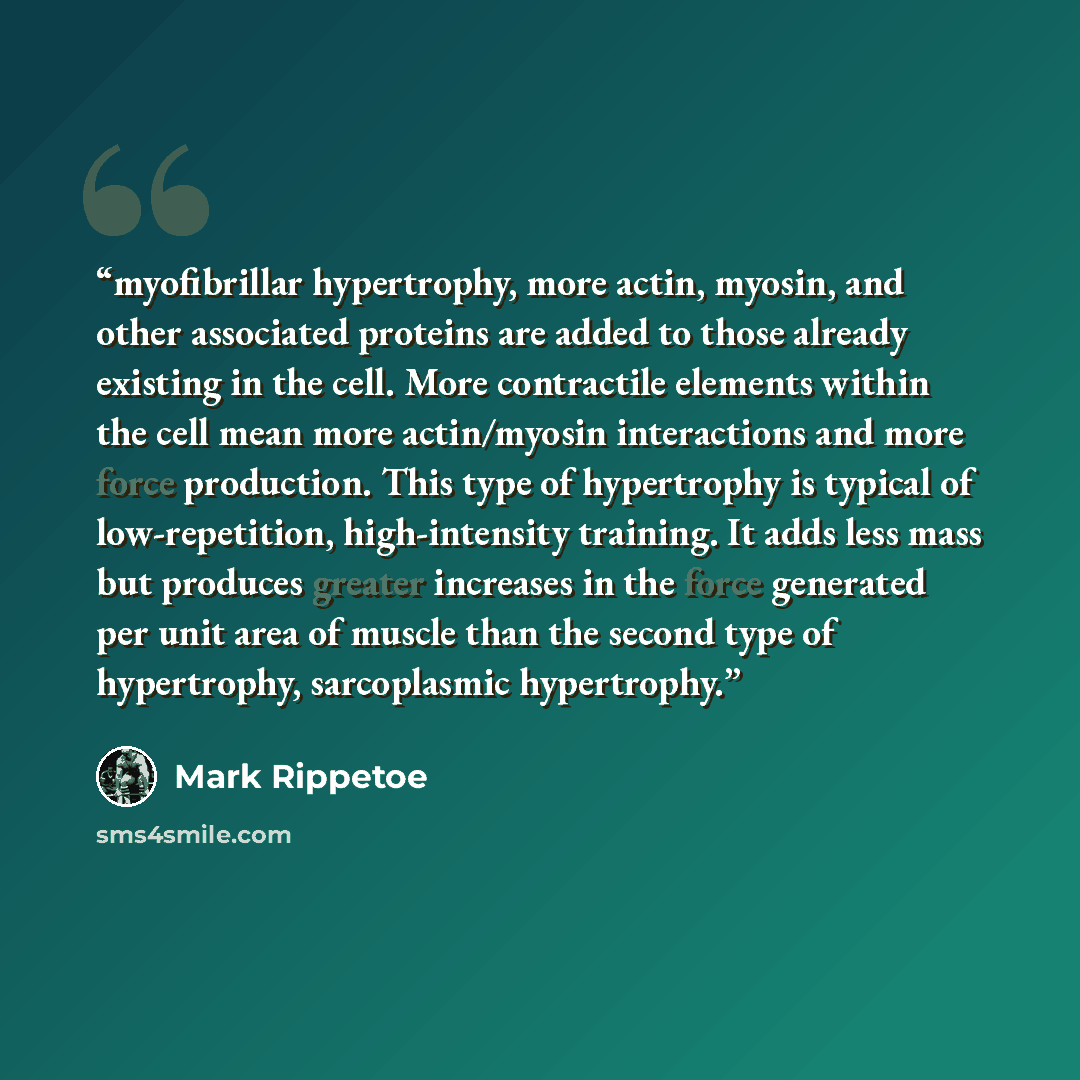 “myofibrillar hypertrophy, more actin, myosin, and other associated proteins are added to those already existing in the cell. More contractile elements within the cell mean more actin/myosin interactions and more force production. This type of hypertrophy is typical of low-repetition…” quote by Mark Rippetoe