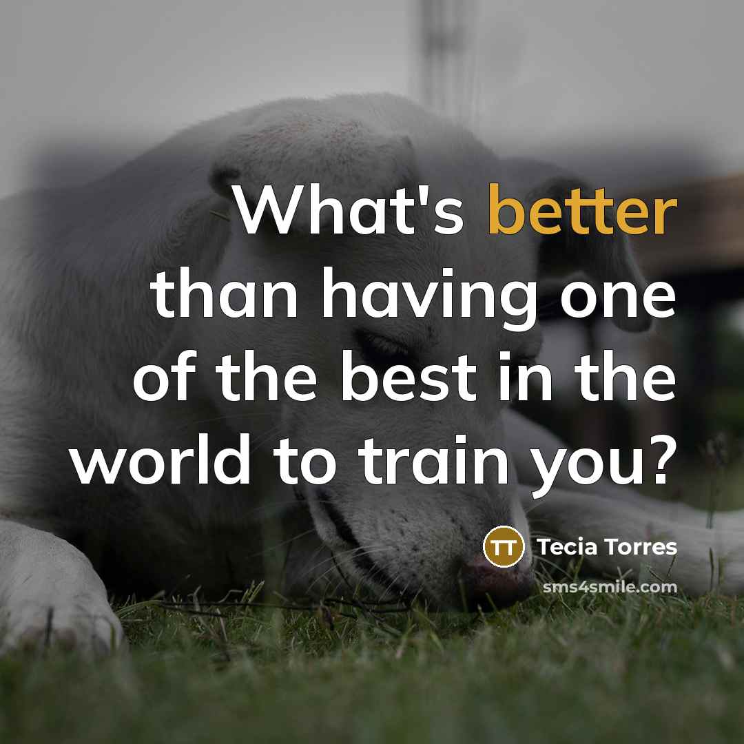 “What's better than having one of the best in the world to train you?” quote by Tecia Torres