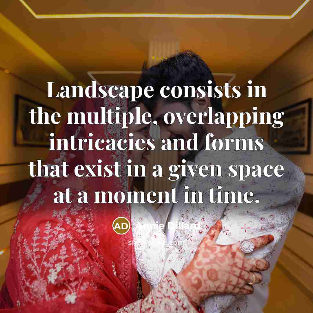 “Landscape consists in the multiple, overlapping intricacies and forms that exist in a given space at a moment in time.” quote by Annie Dillard