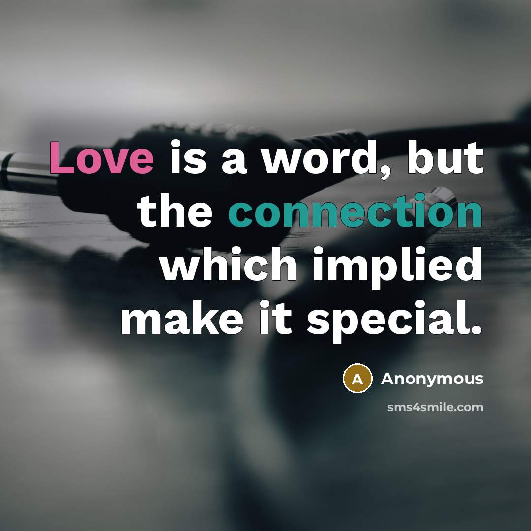 “Love is a word, but the connection which implied make it special.” quote by Anonymous